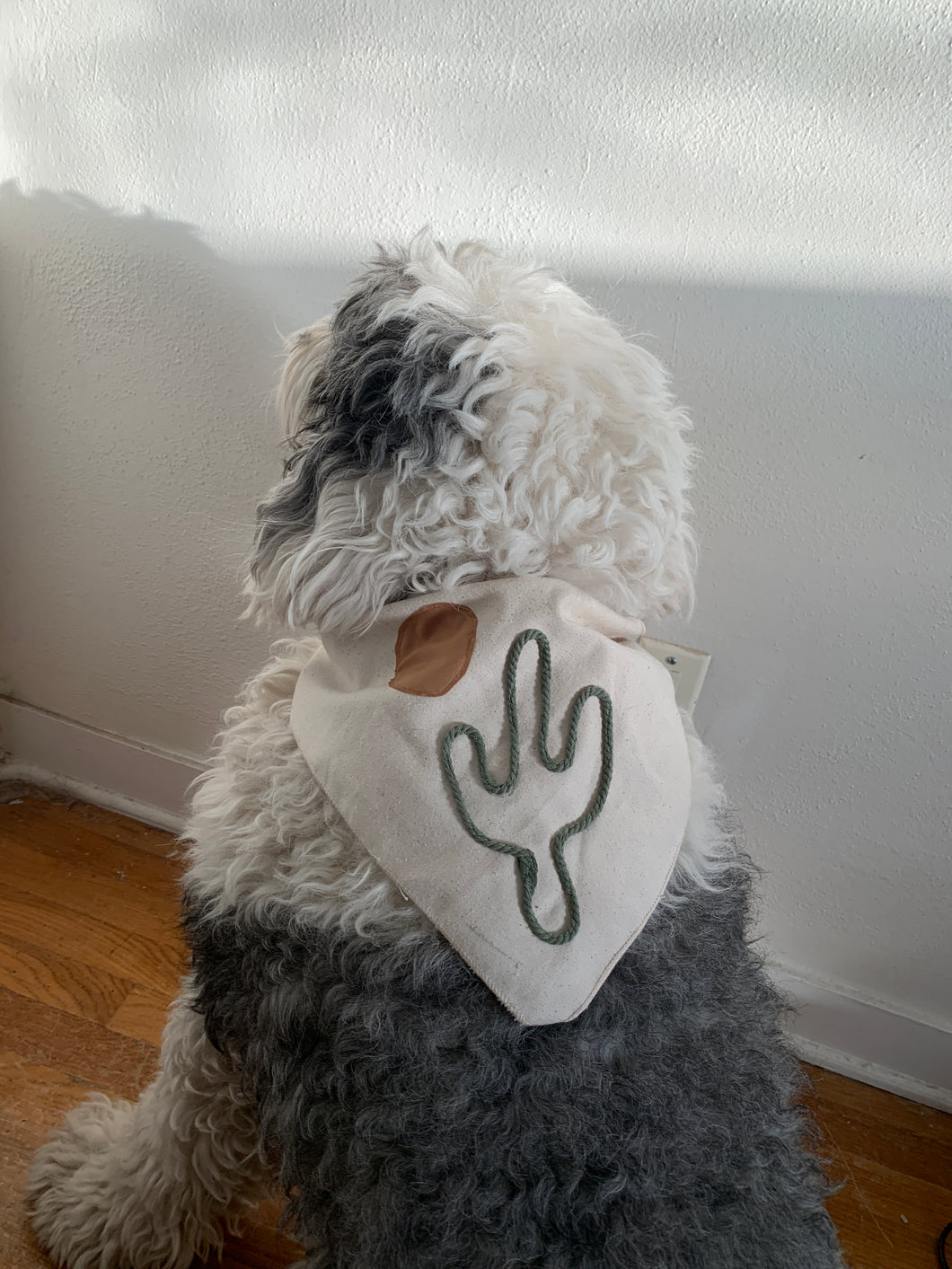 old english sheepdog wearing a bandana adorned with a golden sun and sage cactus  
